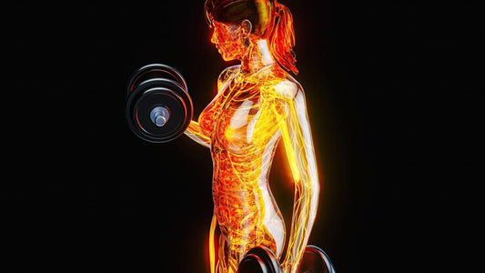 SARCOPÉNIE CHEZ LES FEMMES : COMMENT LUTTER EFFICACEMENT CONTRE LA PERTE MUSCULAIRE AVEC L’ACTIVITÉ PHYSIQUE ?